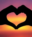 Love 66