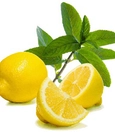 Mint-Lemon