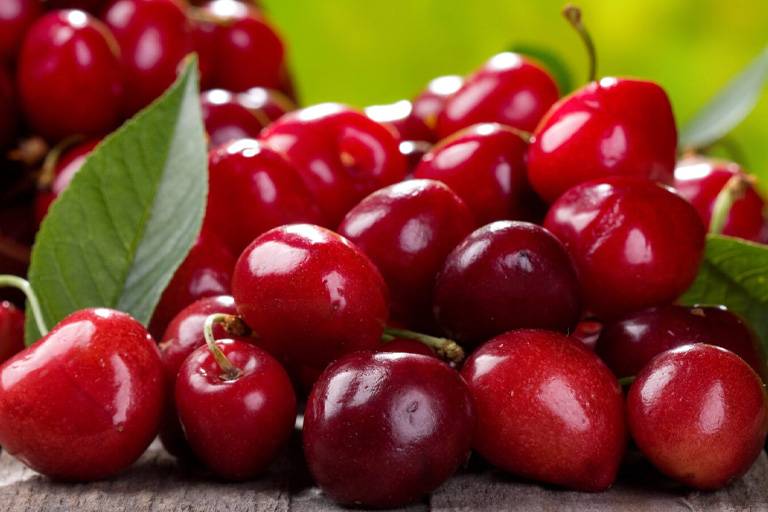 Sour cherry