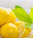 Mint-lemon