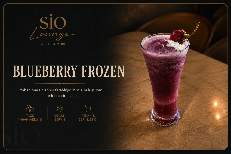 Blueberry Frozen