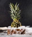 Pineapple Paradise
