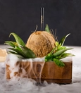 Coconut Land