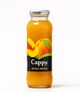 Bottled fruit juice