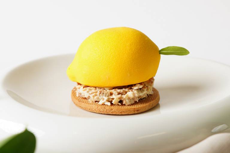 Lemon Art Cake