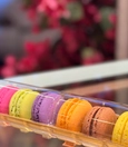 Macaron Set of 6